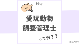 小動物好きな人が気になる資格「愛玩動物飼養管理士」とは？