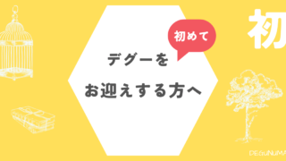 デグーを初めてお迎えする方に見てほしい！デグーと暮らす心構え