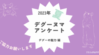 2023夏のデグーヌマアンケ―ト（デグーの魅力編）